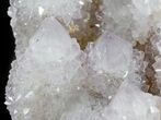 Cactus Quartz (Amethyst) Crystals - Large Cluster #47176-1